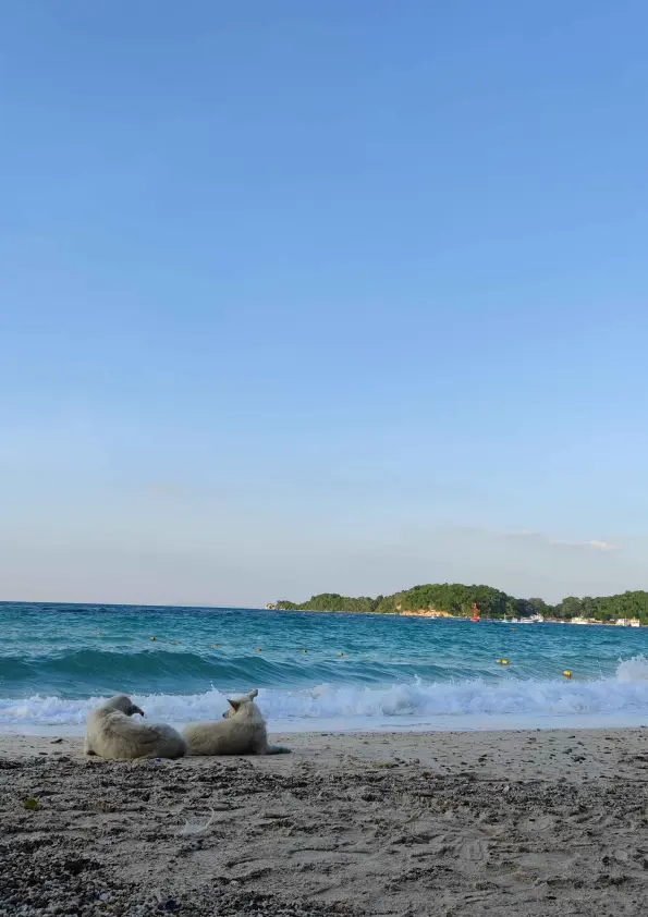 Tai yai beach, Koh Larn Island, Pattaya